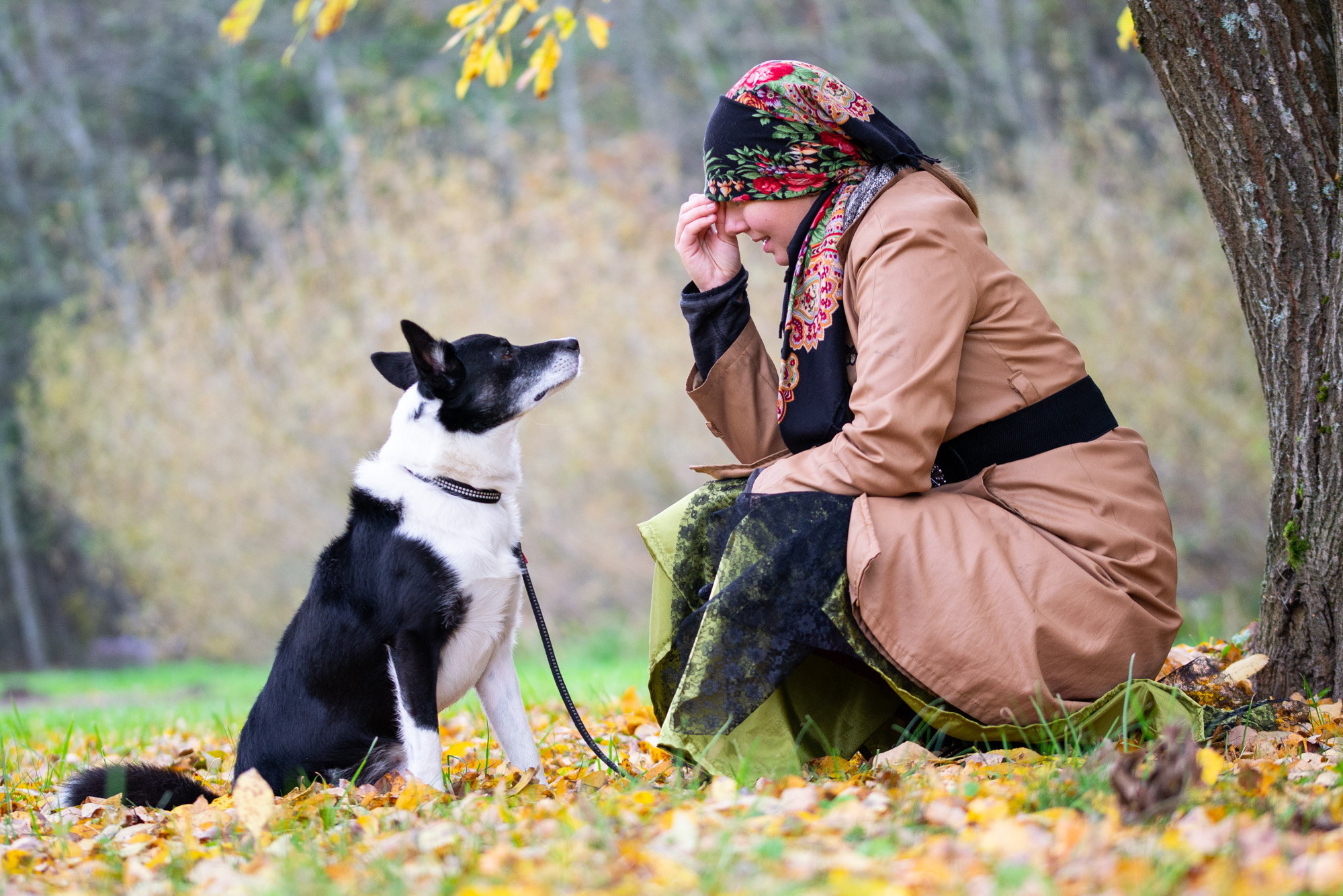 Koera ja tema omaniku perefoto looduses.